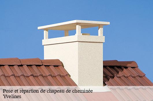 Pose et répartion de chapeau de cheminée Yvelines 