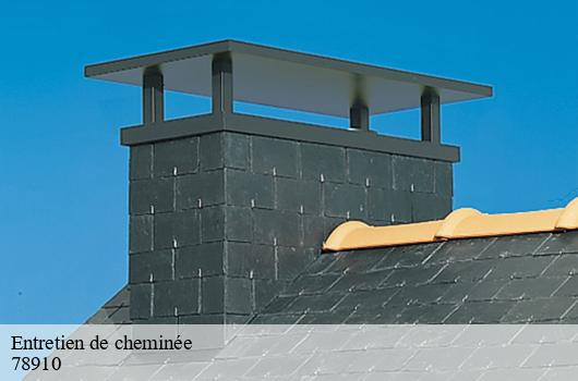Entretien de cheminée 78910