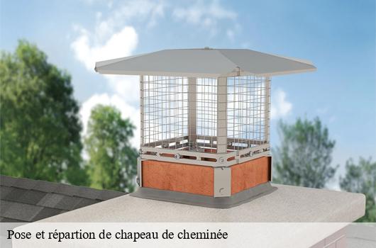 Pose et répartion de chapeau de cheminée