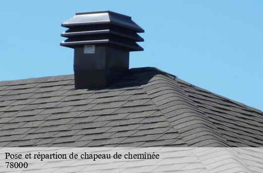 Pose et répartion de chapeau de cheminée 78000
